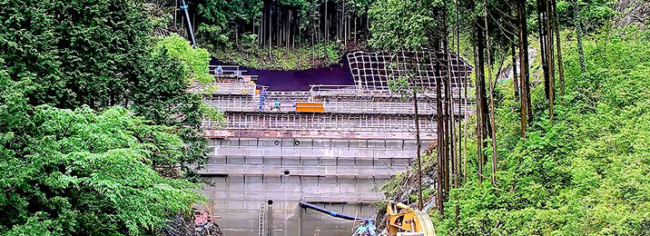陸上の予測・観測情報